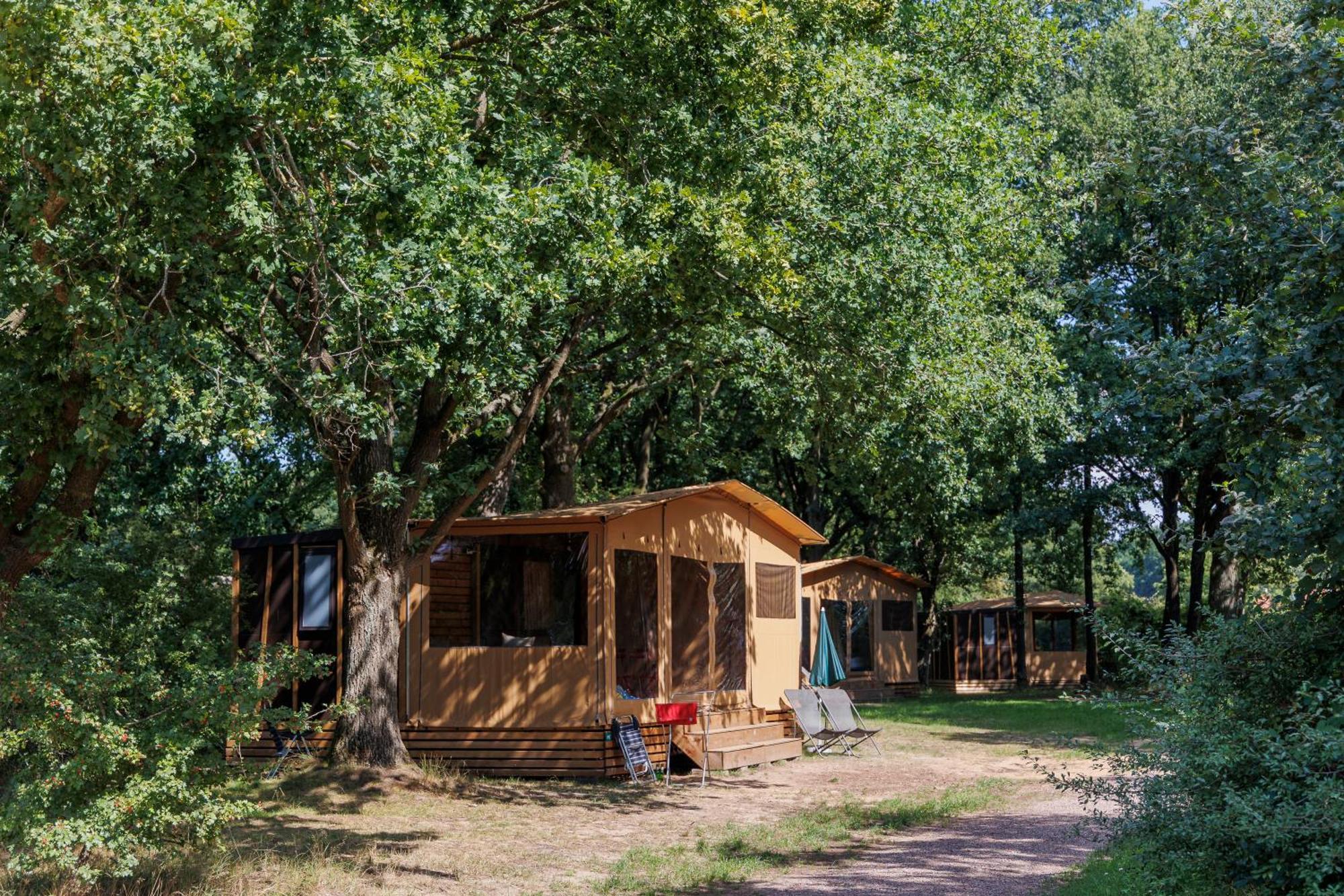 Huttopia De Roos Stegeren Экстерьер фото